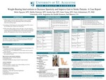 Weight-Bearing Interventions to Decrease Spasticity and Improve Gait in Stroke Patients: A Case Report by Melin Nguyen, Shelby Peterson, Jessika Sun, Irene Taing, and Faris Alshammari