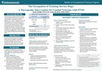 The Occupation of Training Service Dogs: A Therapeutic Intervention for Combat Veterans with PTSD by Denae A. Padilla and Jessica De Brun