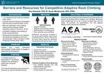Barriers and Resources for Competitive Adaptive Rock Climbing