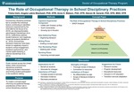 The Role of Occupational Therapy in School Disciplinary Practices by Trisha Irwin, Angela Blackwell, Anne H. Watson, and Steven M. Gerardi