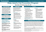 Older Adult's Fall Prevention Program