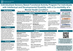 Individualized Sensory Based Functional Activity Program For Individuals with Intellectual and Developmental Disability with a Co-morbidity of a Mental Health Condition