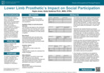 Lower Limb Prosthetics Impact on Social Participation