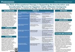 The Role of Occupational Therapy in Supporting the Enculturation and Acculturation Process for Egyptian Coptic Orthodox Immigrants by Sherry A. Manoly, Susan MacDermott, Karen Park, and Becki Cohill