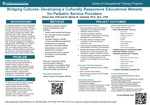 Bridging Cultures: Developing a Culturally Responsive Educational Website for Pediatric Service Providers