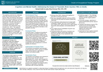 Cognition and Mental Health: Addressing the Impact of Traumatic Brain Injuries (TBI) on Adults