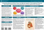 Integrating Maternal Pelvic Floor and Mental Health in Occupational Therapy