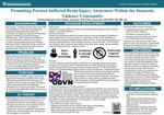 Promoting Partner-Inflicted Brain Injury Awareness Within the Domestic Violence Community by Christina Debowski, Heather Javaherian, and Karen Park
