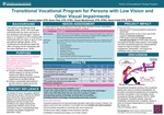 Transitional Vocational Program for Persons with Low Vision and Other Visual Impairments by Andria Lubben, Karen Park, Susan MacDermott, and Becki Cohill