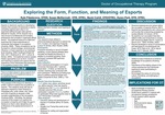 Exploring the Form, Function, and Meaning of Esports by Kyle Fitzstevens, Susan MacDermott, Becki Cohill, and Karen Park