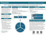 Caregiver Training Program for Optimal Recovery of Neuro Accidents: An Occupational Therapy Approach