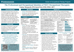 The Professional and Occupational Identities of NICU Occupational Therapists