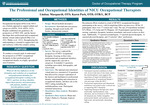The Professional and Occupational Identities of NICU Occupational Therapists by Lindsay M. Marquardt and Karen Park