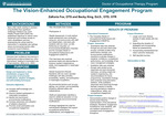 The Vision-Enhanced Occupational Engagement Program